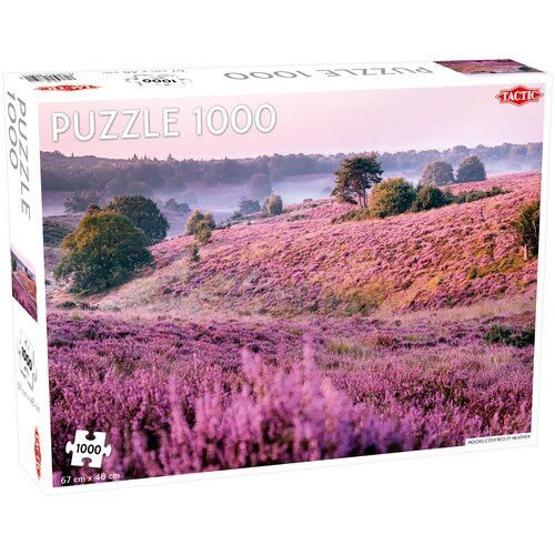 Moors Covered in Heather